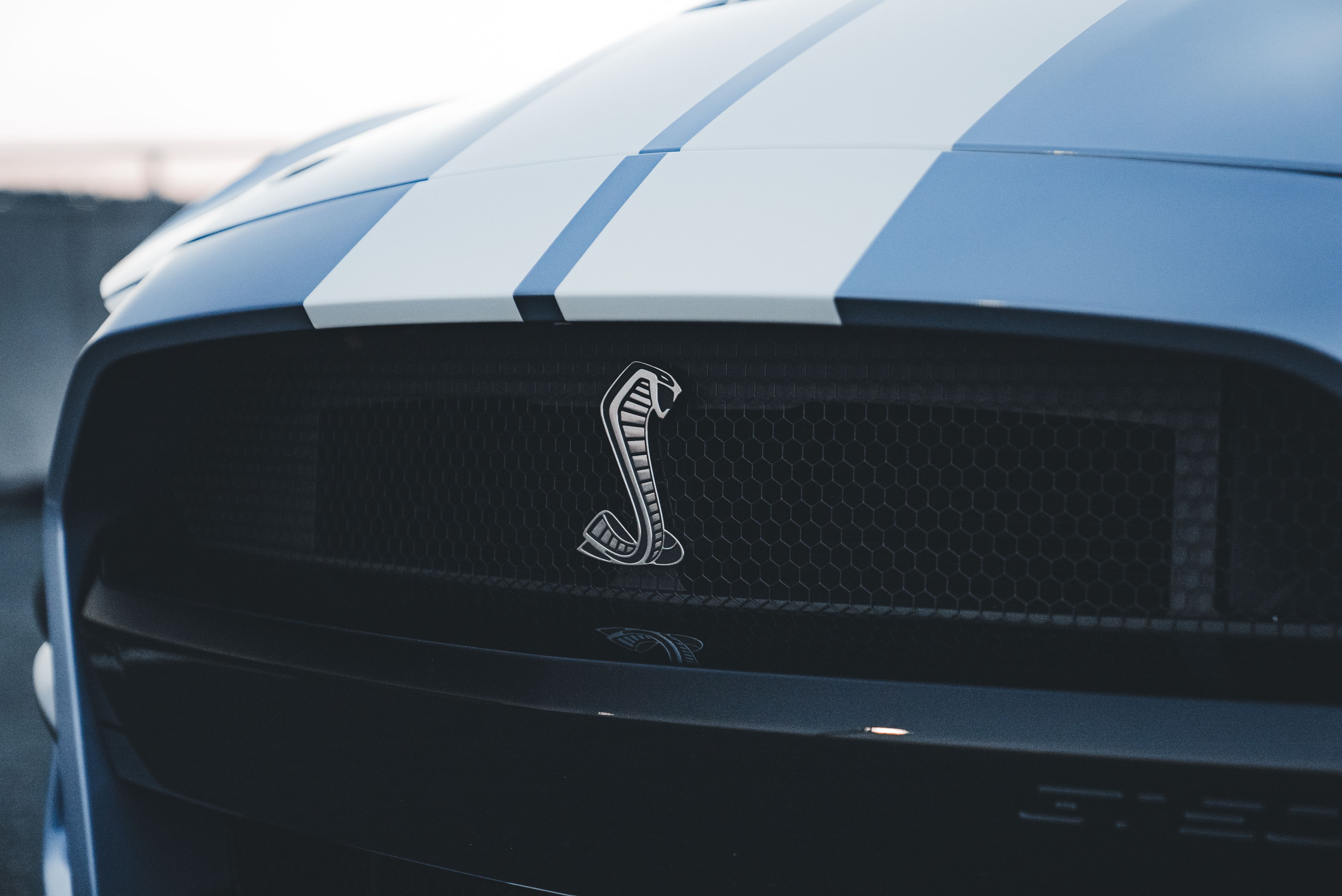 cobra insurance