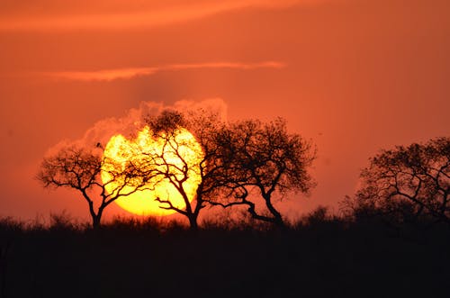 Round Sun on Horizon on Sunset in Wild Nature