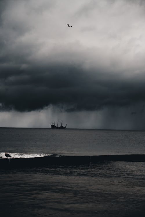 Storm at the Sea in Black and White