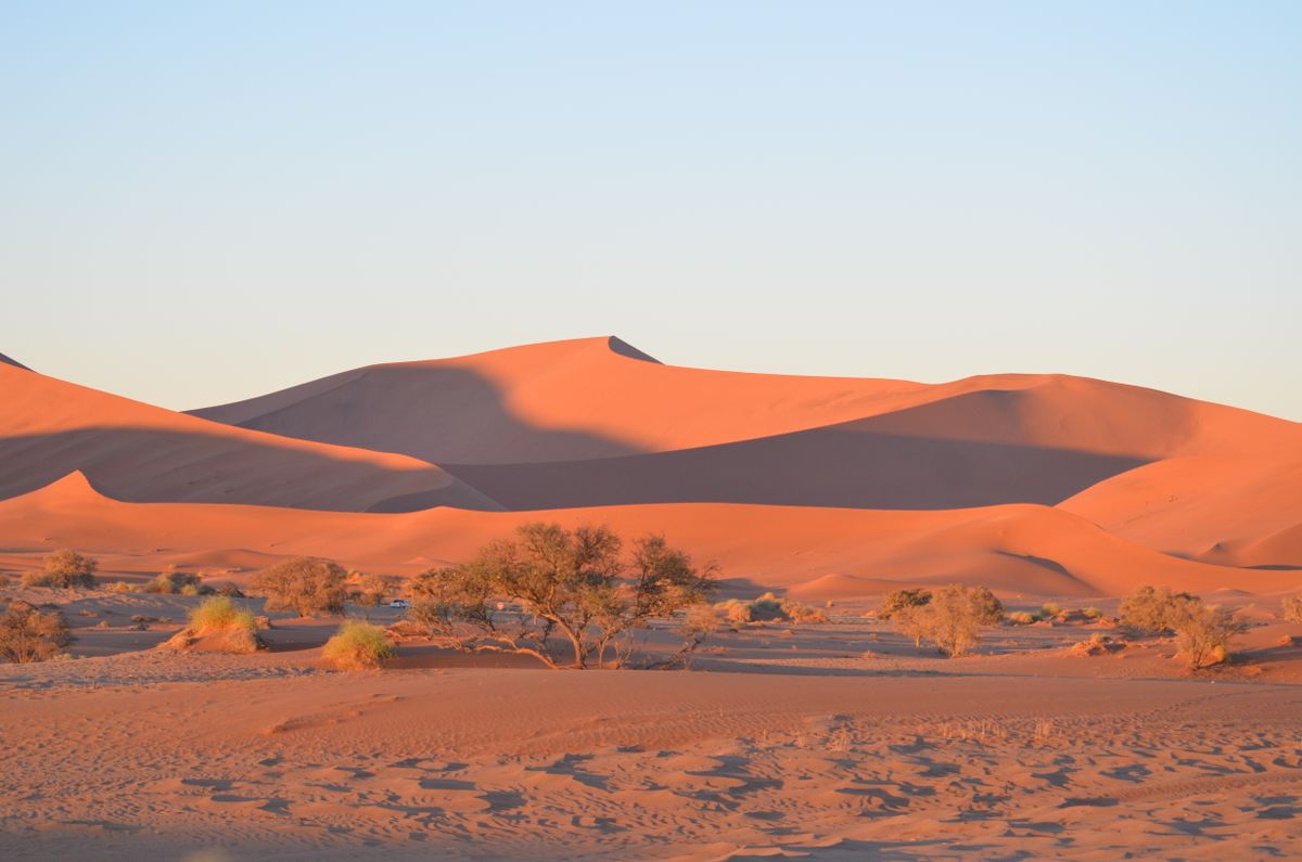 Golden sands of the Sossusvlei dunes illuminated by a stunning sunset in Namibia