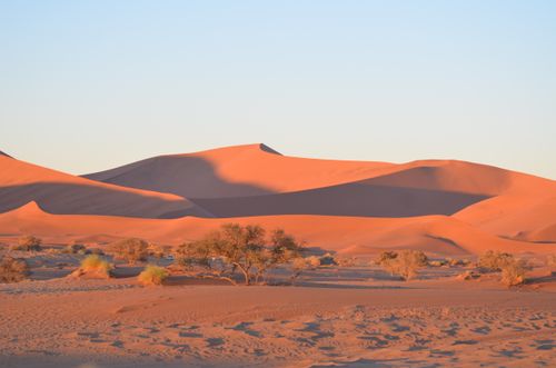 Free Golden sands of Sossusvlei dunes illuminated by a stunning sunset. Stock Photo