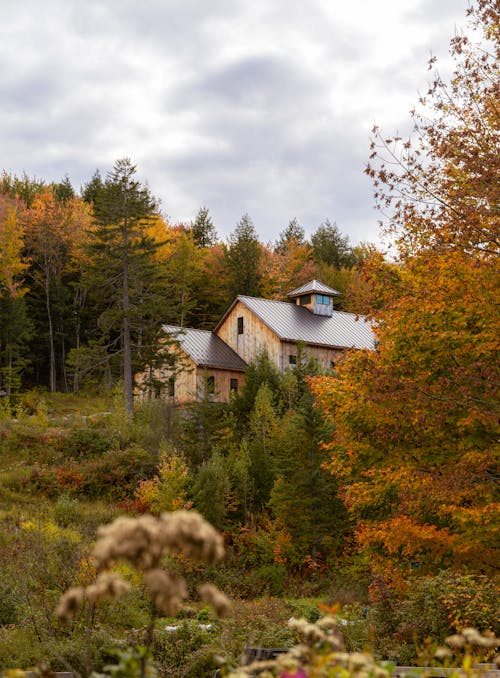 Farmhouse and Forest in Autumn Foliage 