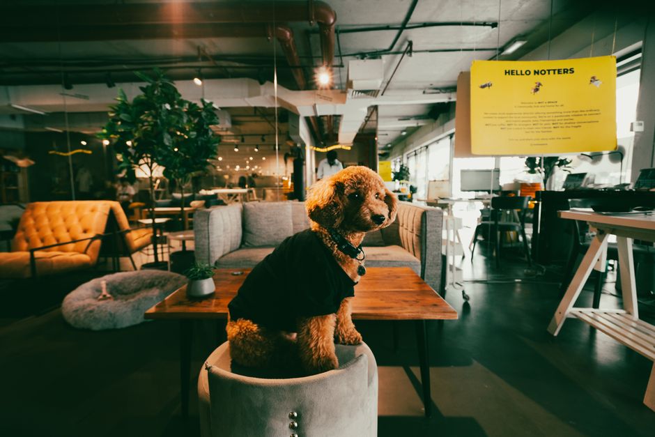 Upwind raises $400M after walking away from Datadog acquisition offer