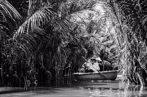 Foto stok gratis aisian, Vietnam