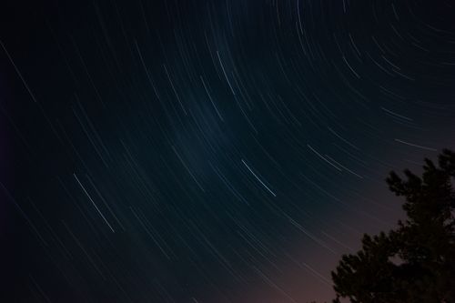 Free Mesmerizing star trails against a clear night sky with silhouetted trees. Stock Photo