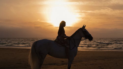 Woman on Horse on Beach