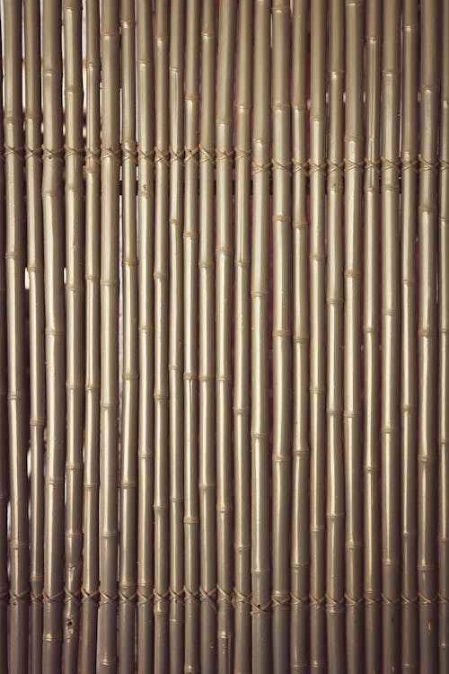 Bamboo Wall