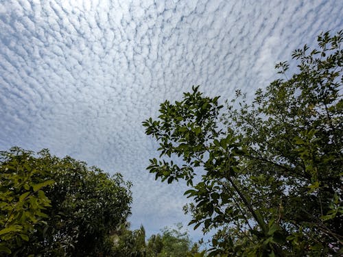 Foto profissional grátis de céu, papel de parede do céu, textura do céu