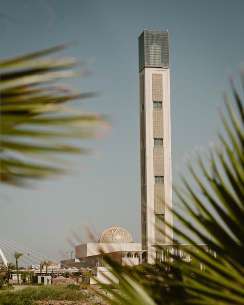 World Tallest Minaret of the Djamaa el Djazair Mosque
