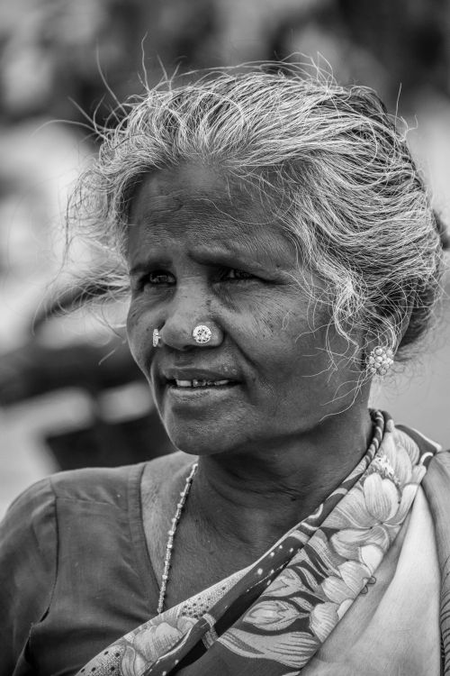 Free Black and white portrait of an elderly woman in traditional attire from Kerala, India. Stock Photo