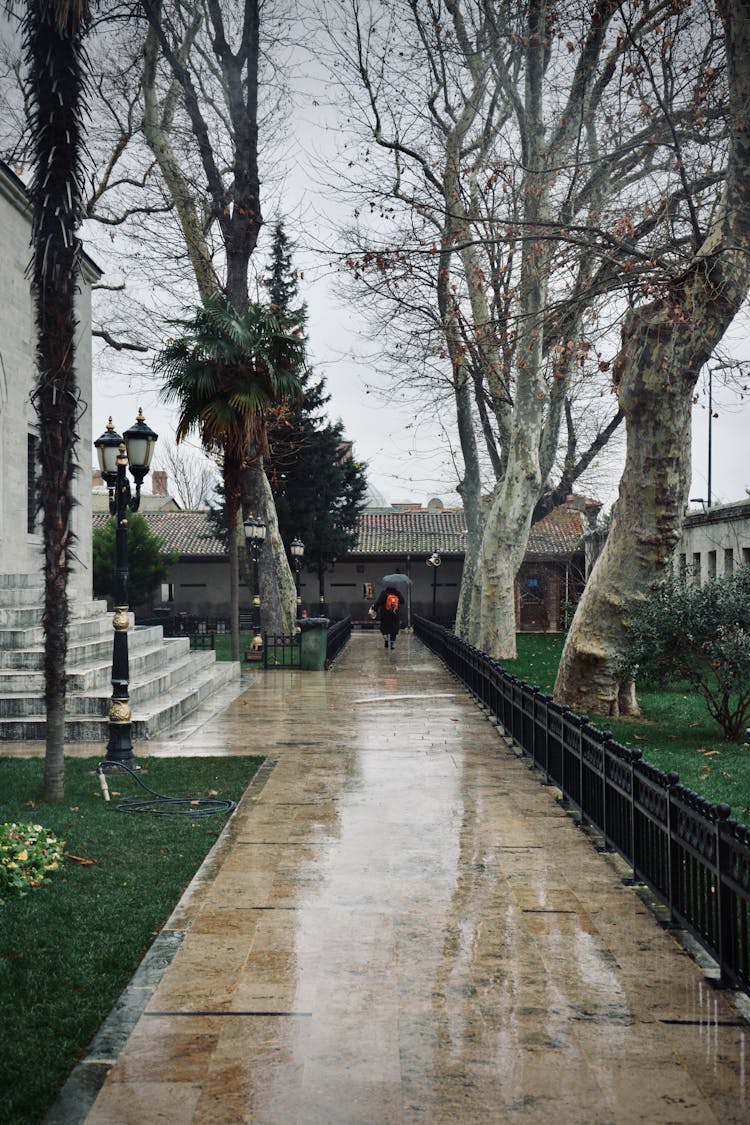 Wet Pavement In Park