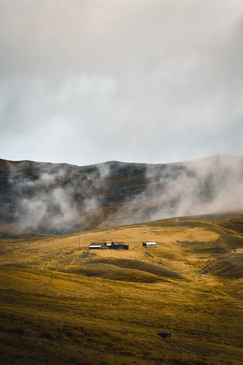 Foto d'estoc gratuïta de camp, foto des d'un dron, natura