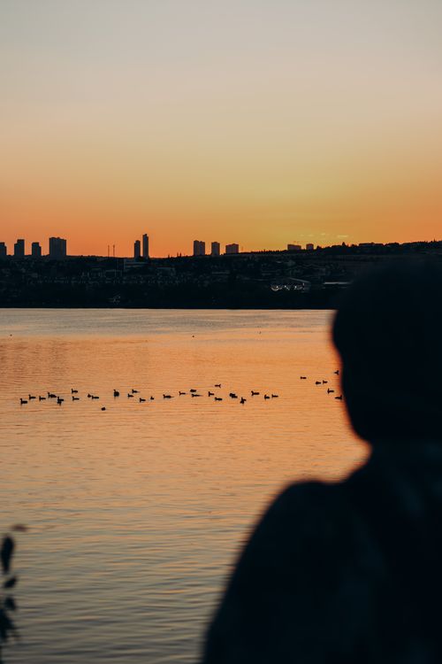 Free Silhouette of a person by the water with a vibrant Ankara sunset skyline and birds. Stock Photo