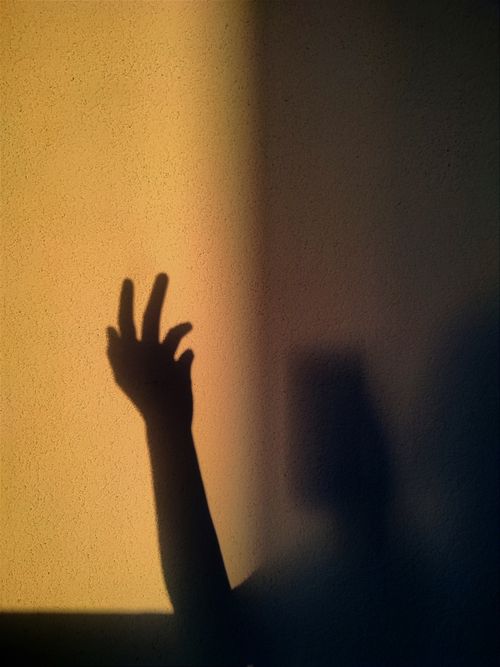Free Creative silhouette hand shadow art on textured wall with warm lighting. Stock Photo