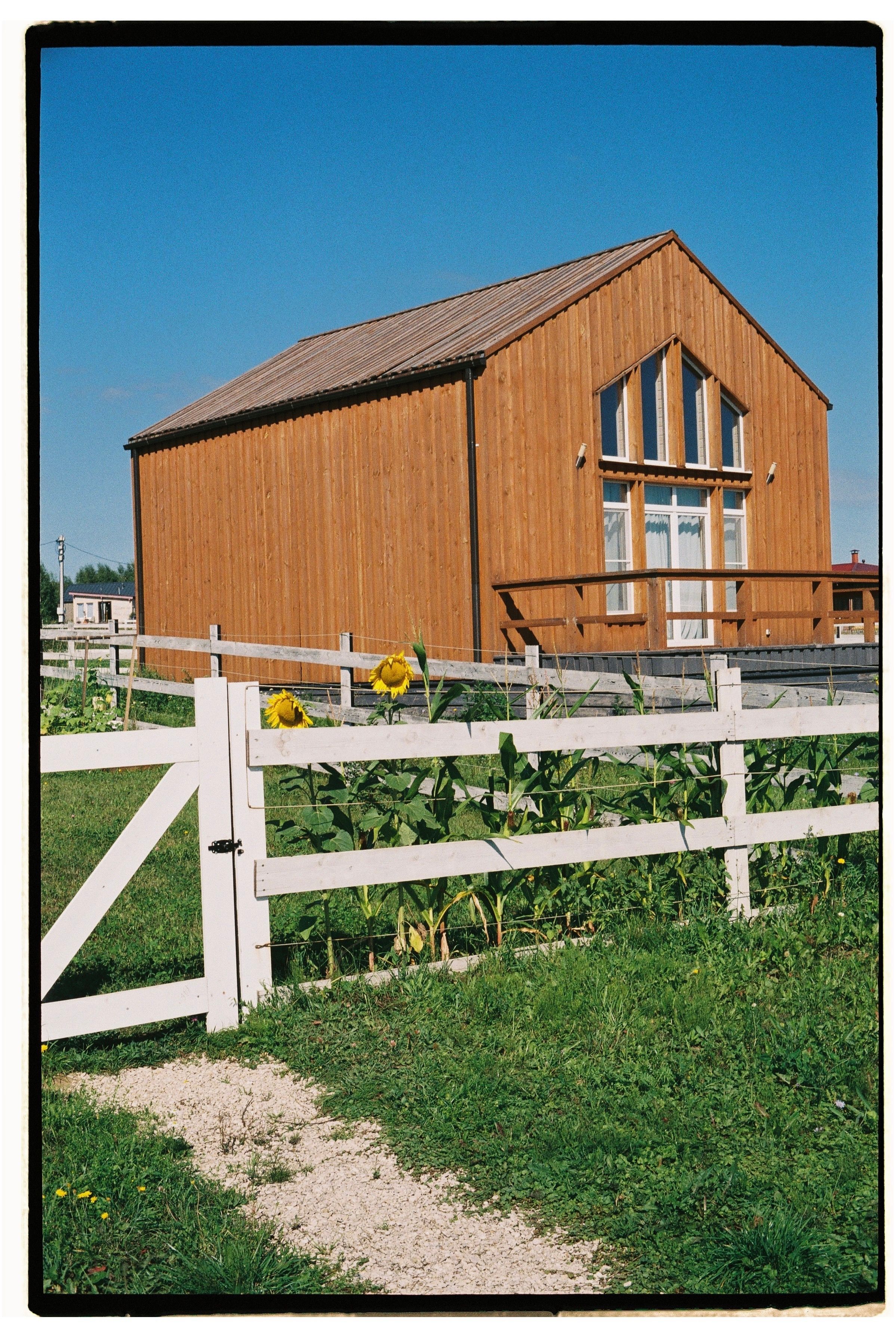 Sunflowers House Photos, Download The BEST Free Sunflowers House Stock ...