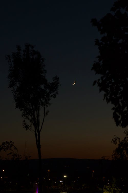 Gratis stockfoto met fotografie, halve maan, maanden