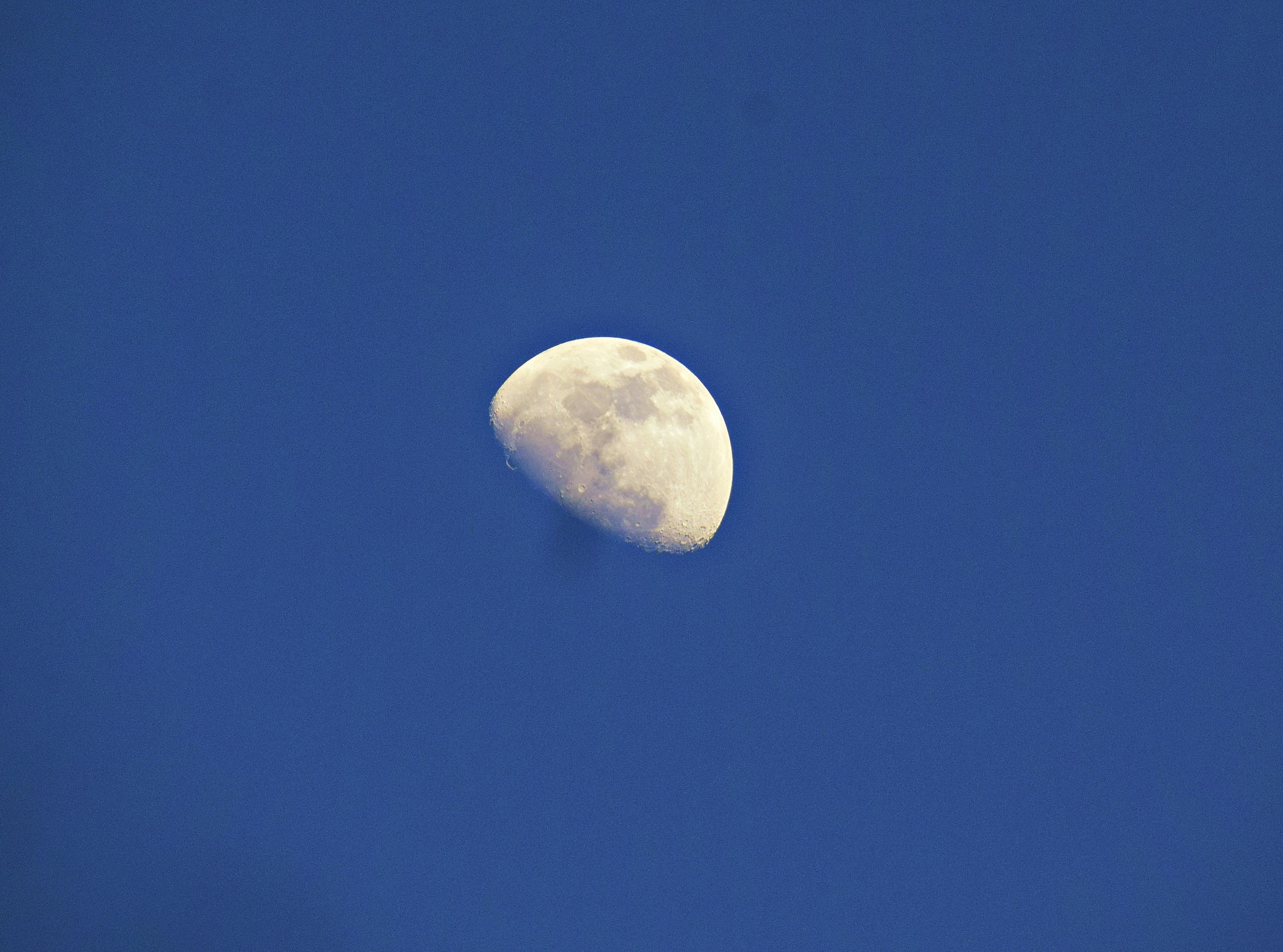 Foto Stok Gratis Tentang Bulan Langit Biru Langit Malam