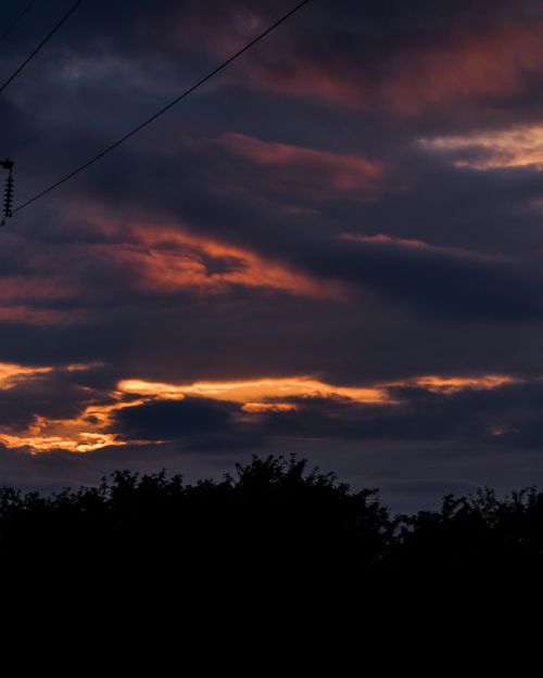 Free Sunset at Dog Park Stock Photo