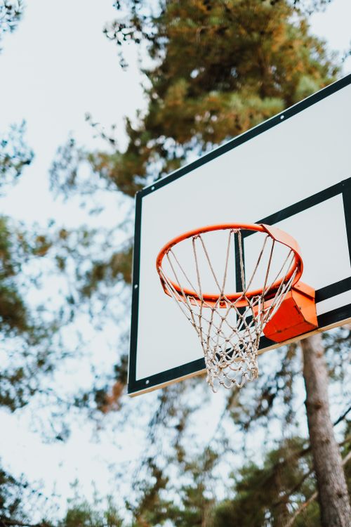 Free Basketball hoop with net amidst tall trees, highlighting outdoor sports setting. Stock Photo