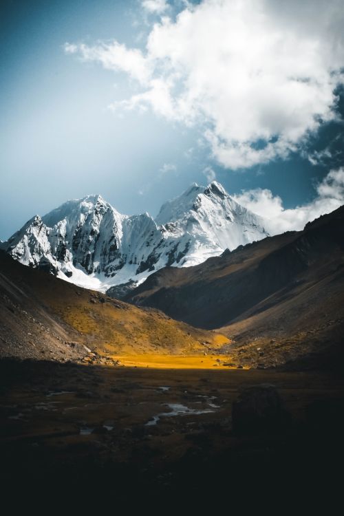 Free Stunning snowy peaks and a yellow meadow under a clear sky, showcasing nature's beauty. Stock Photo