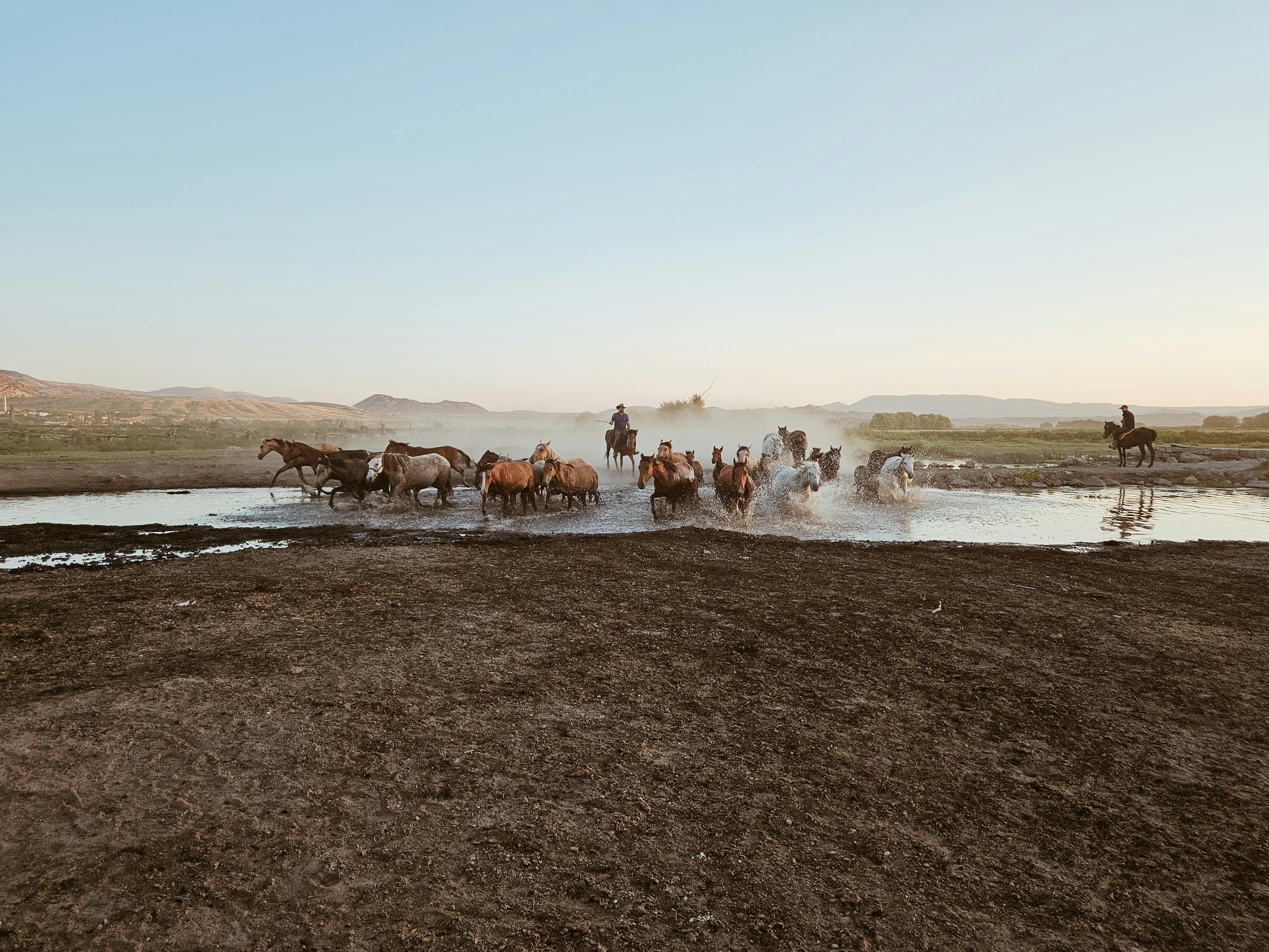 Türkiye’s population prefers Western lifestyle, survey shows — Photo by Zeynep on Pexels