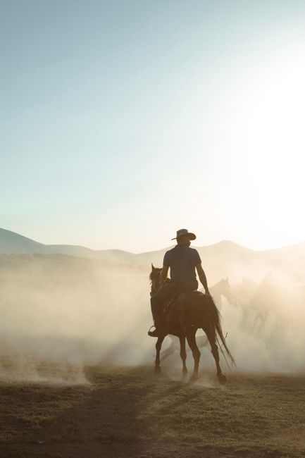 Countryside Excursion on Horseback things to do in el calafate