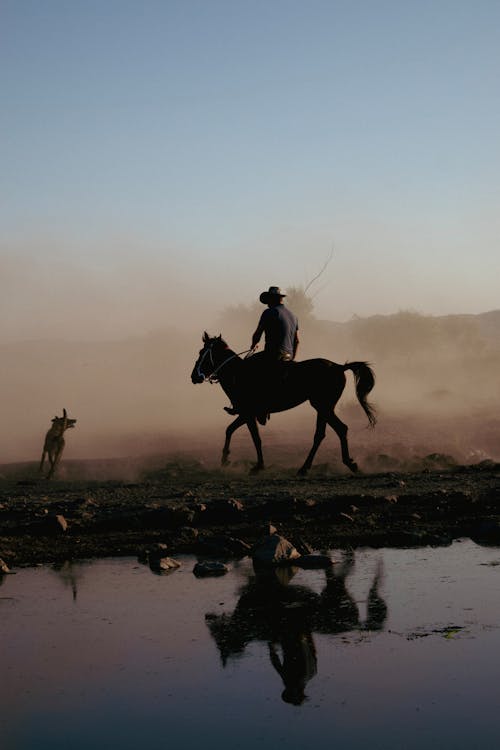 Herder on a Horse Reflecting in the Lake