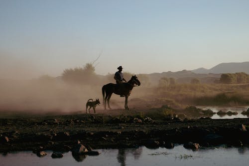 A Person on a Horseback
