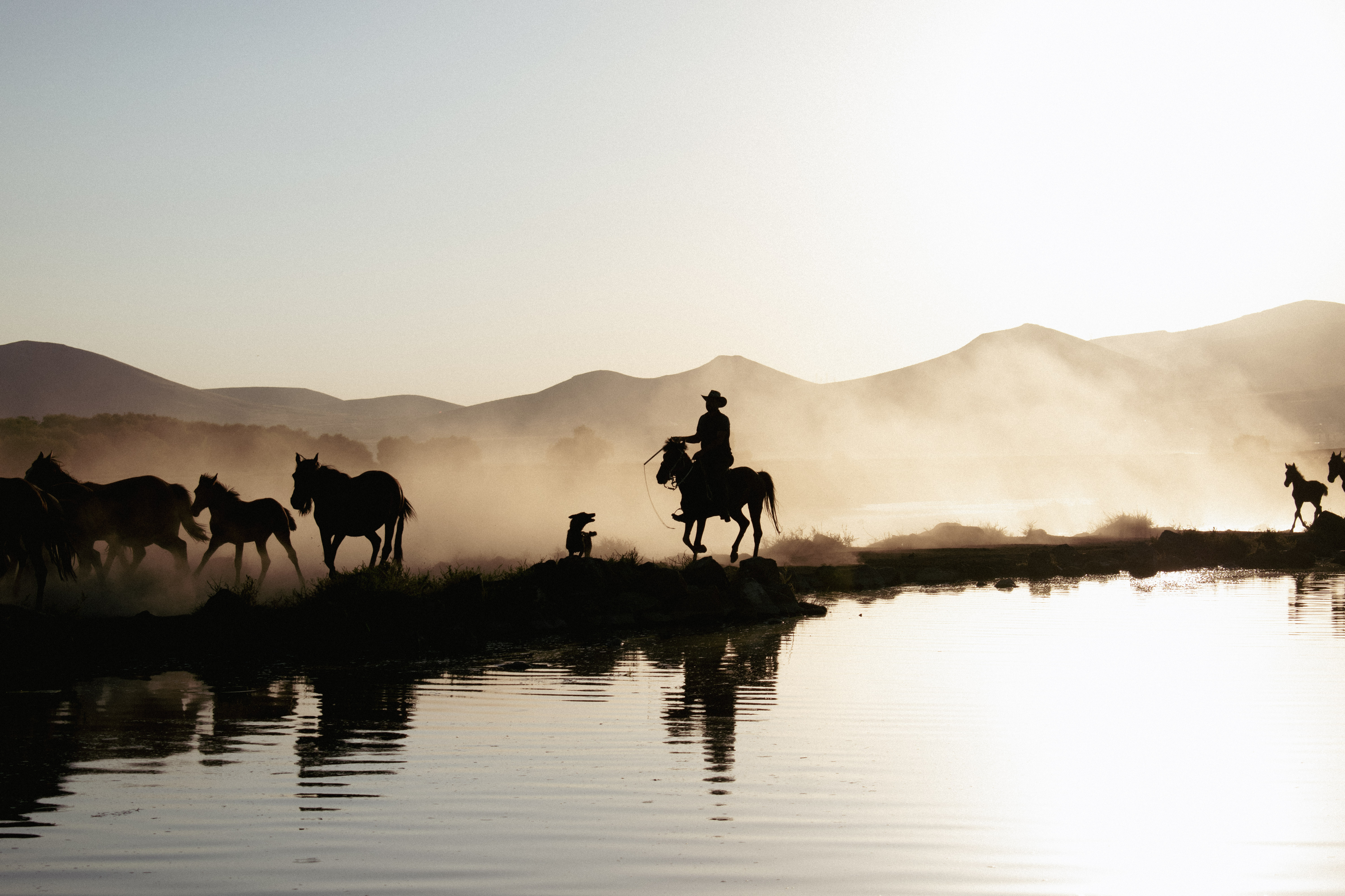 The ‘Wild West’ of wellness supplements fuelled by the rise of fat jabs — Photo by gökçe erem on Pexels