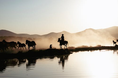 Silhouette of a Herder Reflecting in the Lake