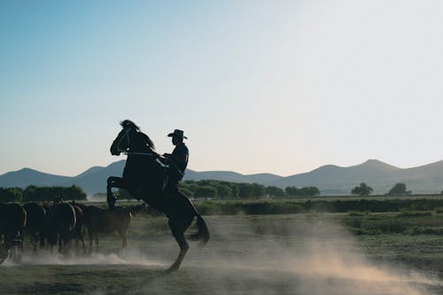 Man Riding a Horse on a Steppe