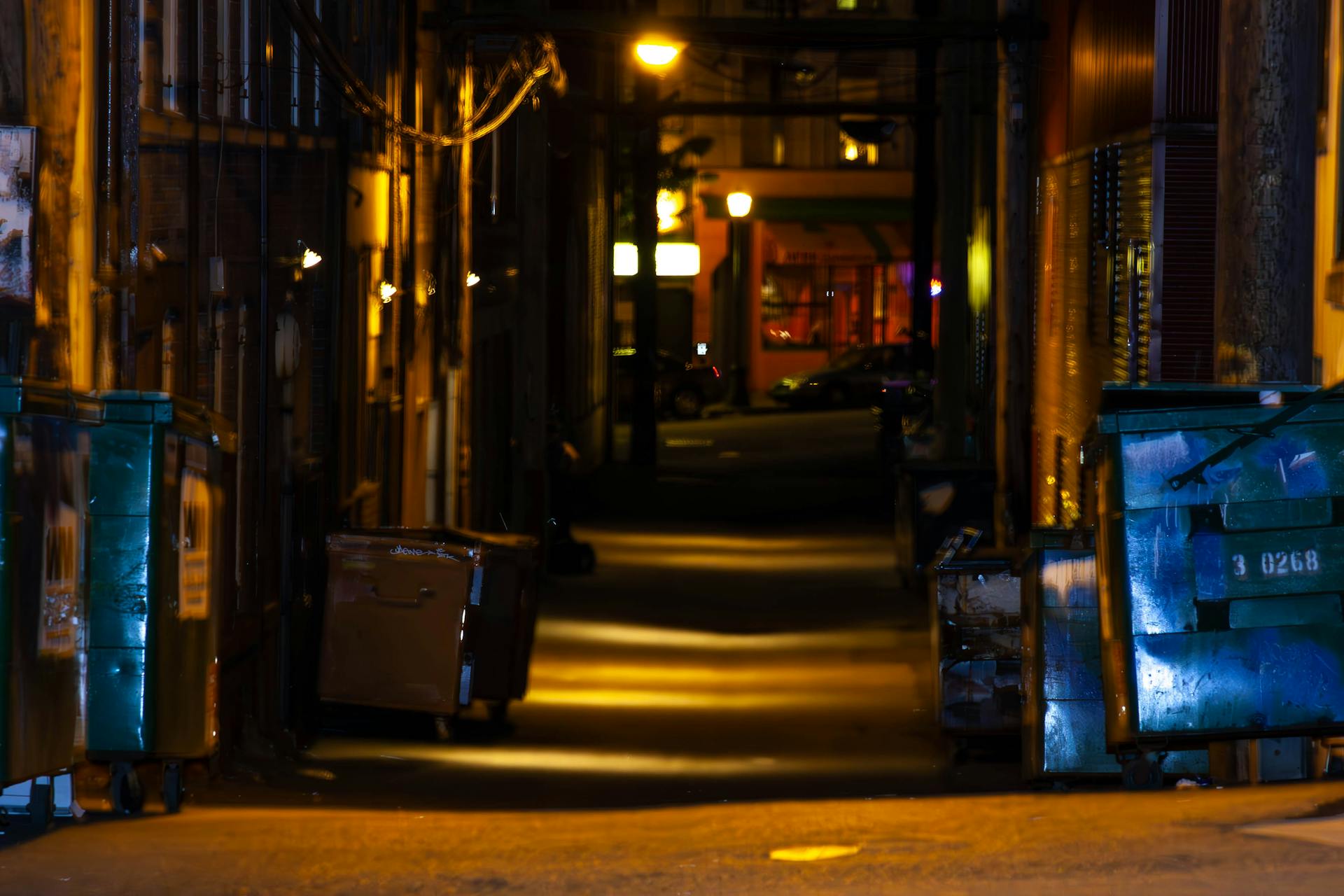A dimly lit urban alleyway in Vancouver, BC, with dumpsters and streetlights.