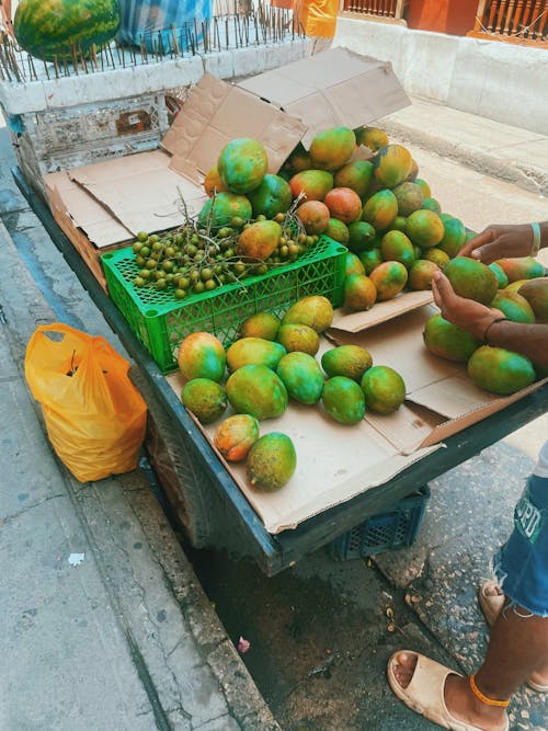 คลังภาพถ่ายฟรี ของ cartagena, การท่องเที่ยว, การเดินทางในเมือง