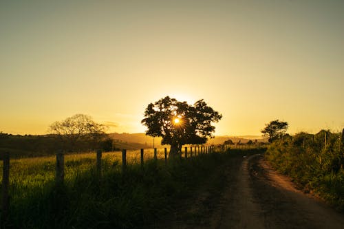 Scenic Rural Landscape with Rising Sun