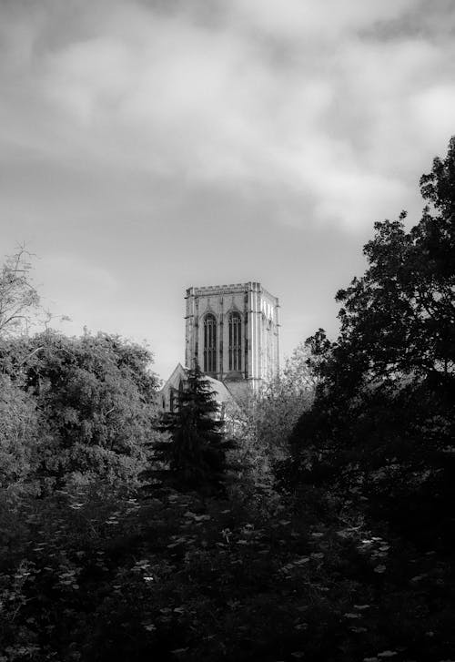 Základová fotografie zdarma na téma Anglie, anglikánská katedrála, černobílý