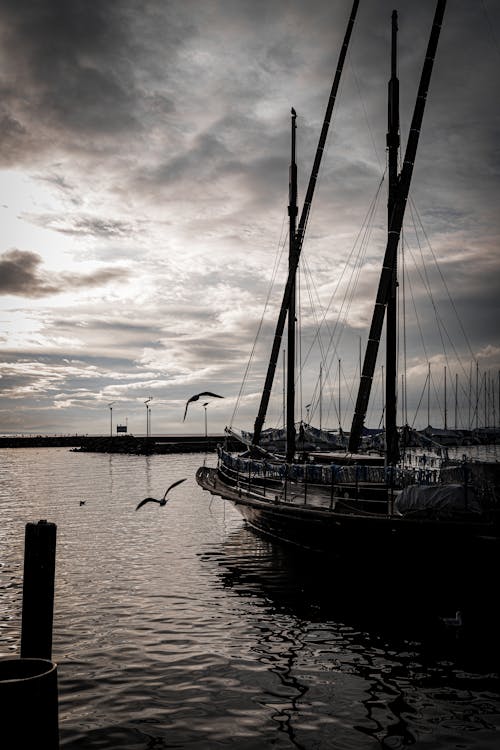 Základová fotografie zdarma na téma černobílá fotografie, člun, čluny