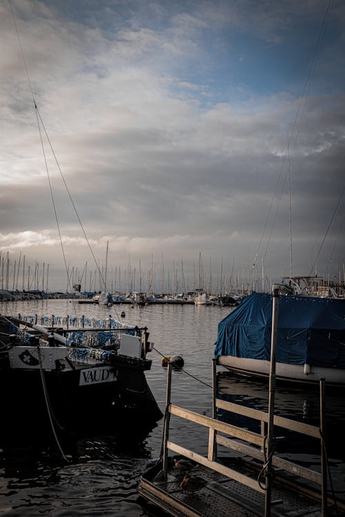 Foto d'estoc gratuïta de barca, barques, cinema