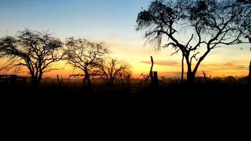Free Sunset colors Stock Photo