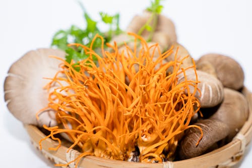 Close-up of a Bowl with Mushrooms 