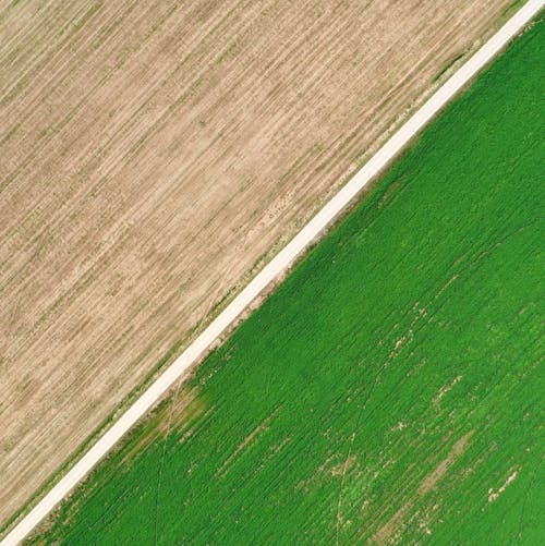 Kostnadsfri bild av fält, Flygfotografering, landsväg