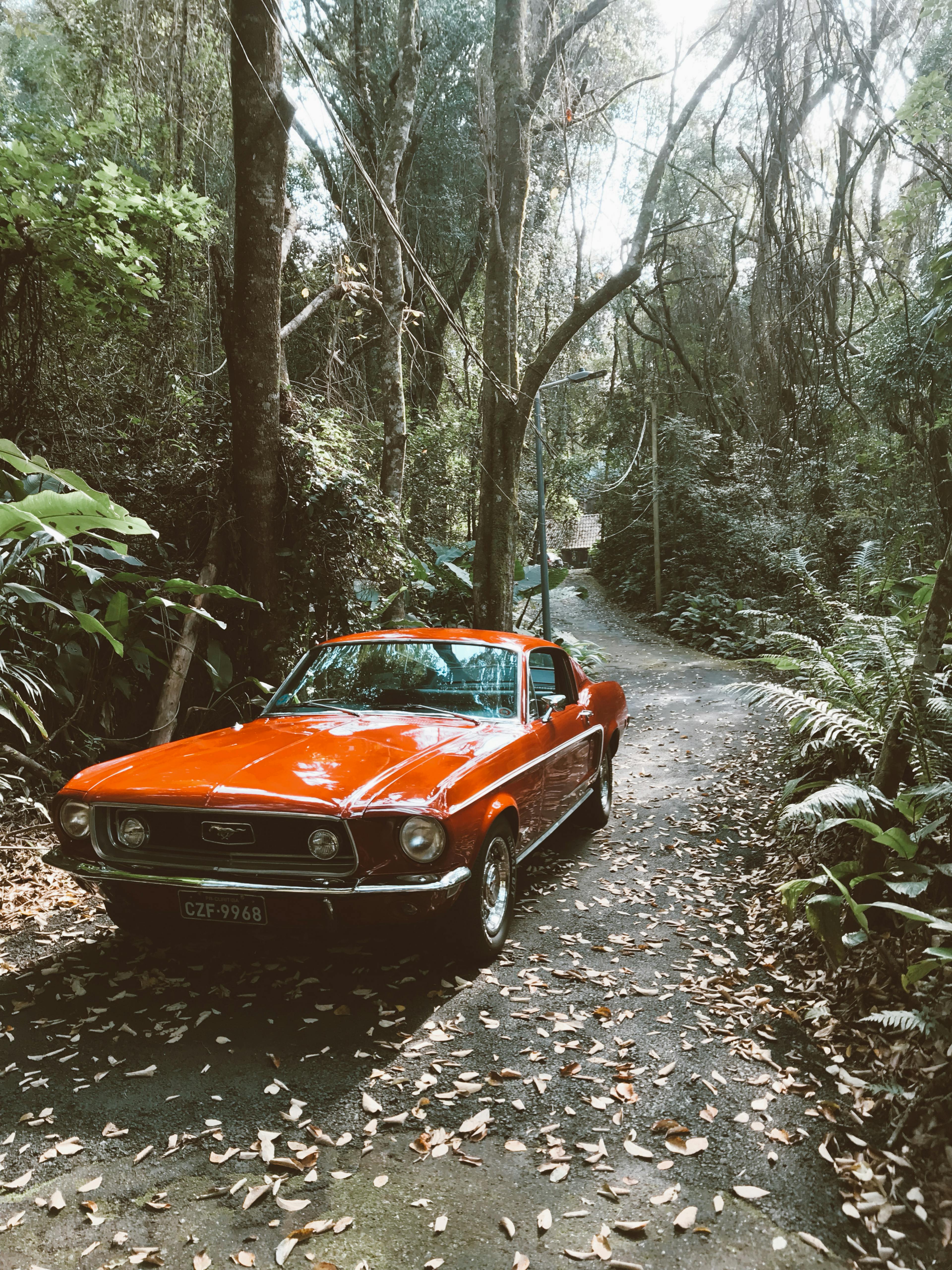 Red and Black Ford Mustang