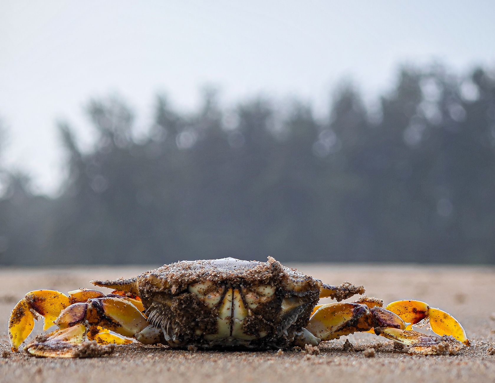 Karwar in 2 Days: What to See and Where to Stay