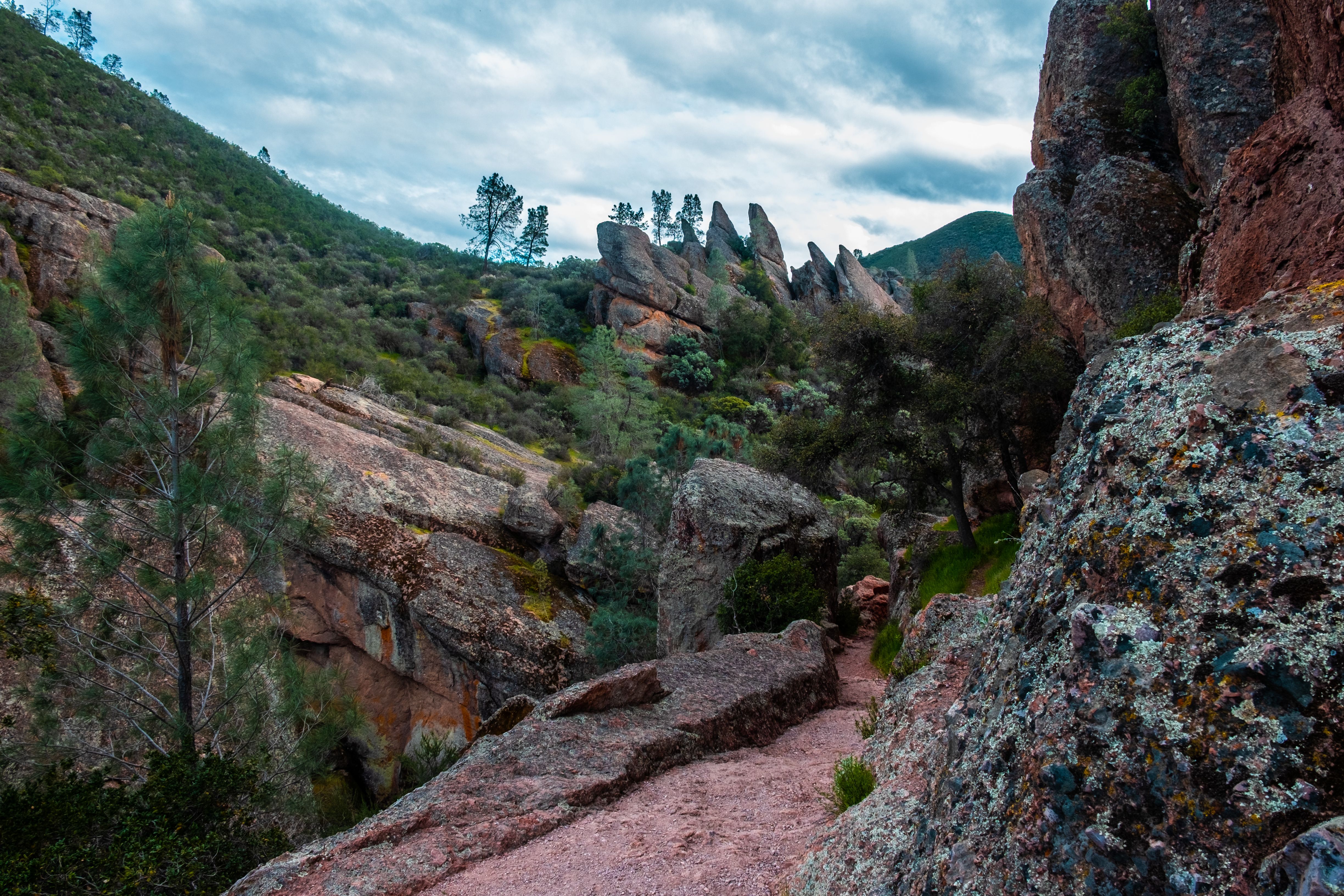 Rocks and Trees around Footpath · Free Stock Photo