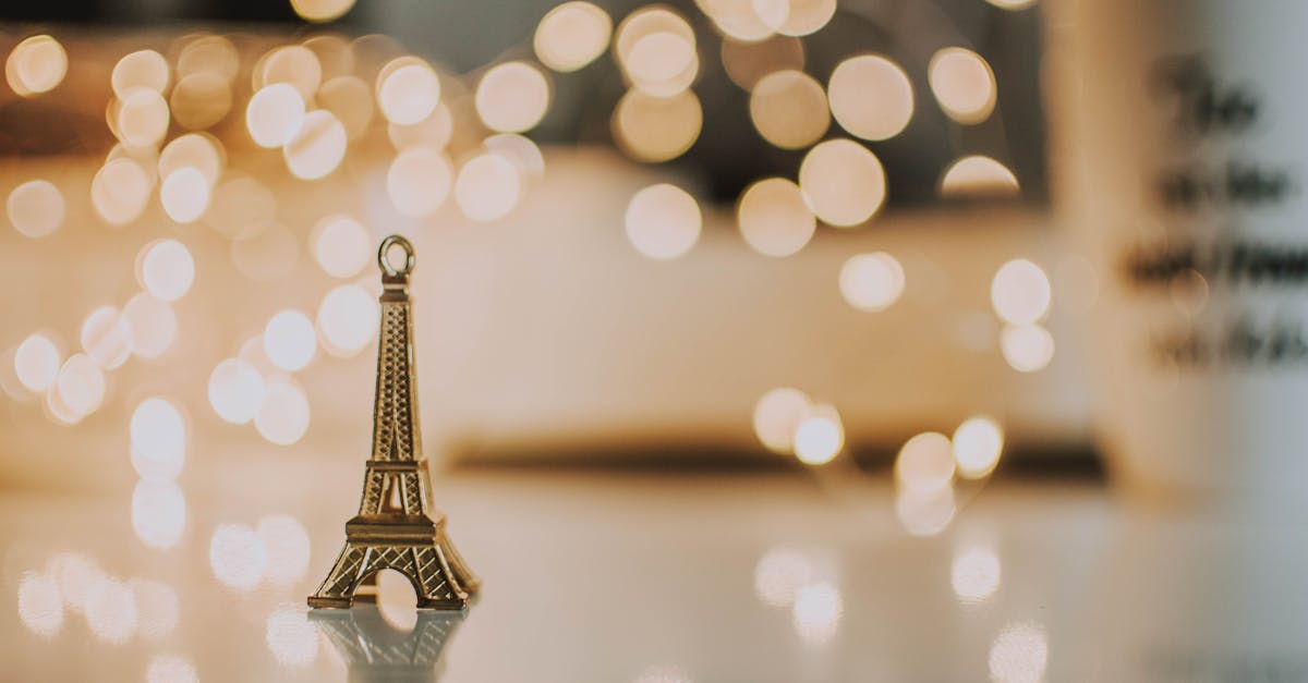 Comment Préparer un Sol Riche pour Vos Cultures