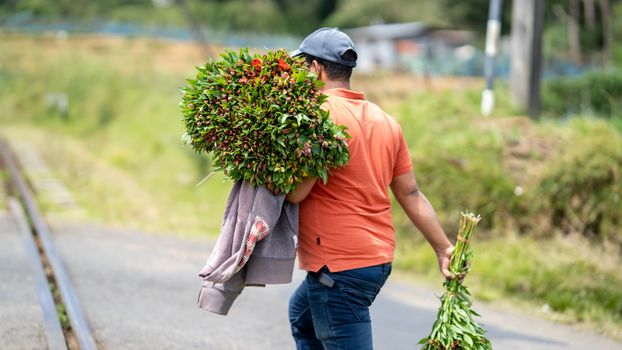 Male flower farmer