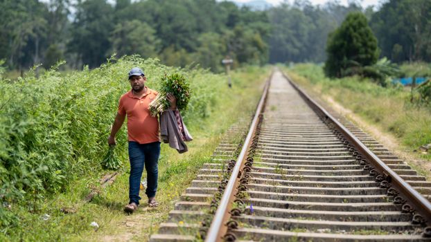 Male flower farmer