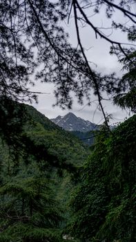 Image by Charchit Chauhan