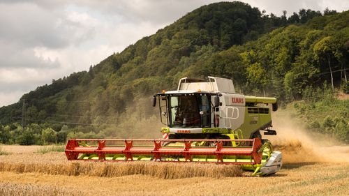 Free Combine harvester working in a golden wheat field against lush green hills. Stock Photo