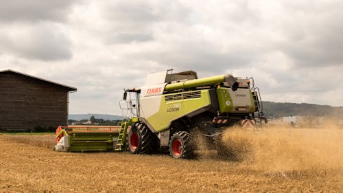 Combine Harvester Working in a Golden Crop Field