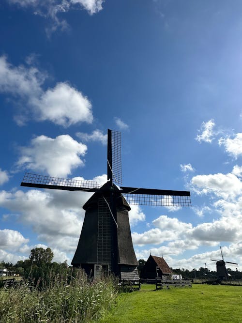 Immagine gratuita di campo d'erba, cielo azzurro, cielo nuvoloso